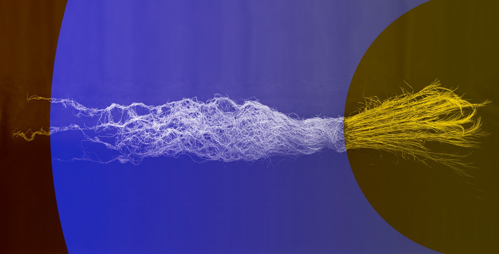 [en ligne] Trois controverses entre écologie et alimentation